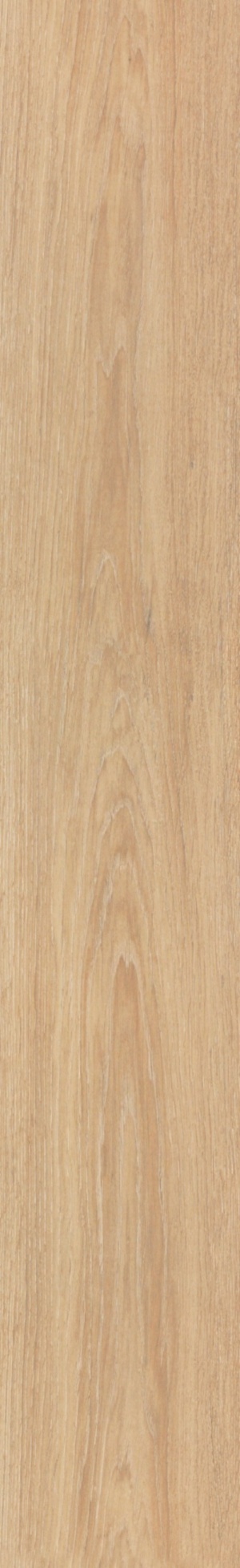  Tanzania Noa Almond