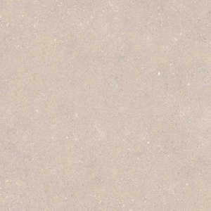  Terra Topo L