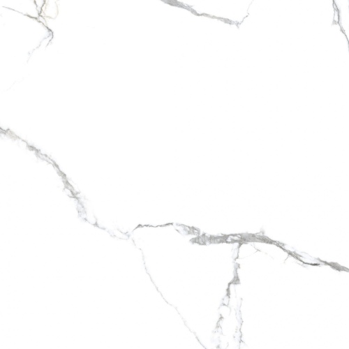  PR150 Acothly Polished