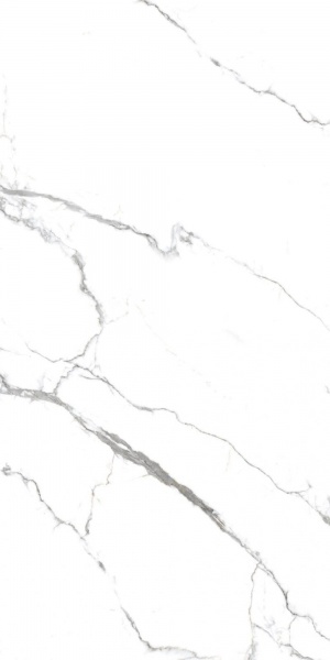  PR234 Acothly Polished