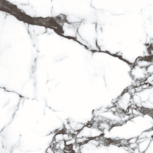  CR103 Blanco Tranco carving