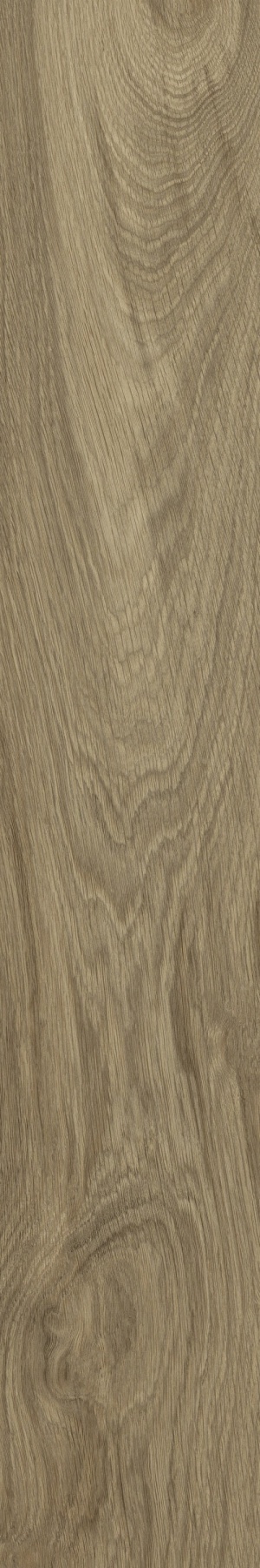  WD106 Branch Taupe