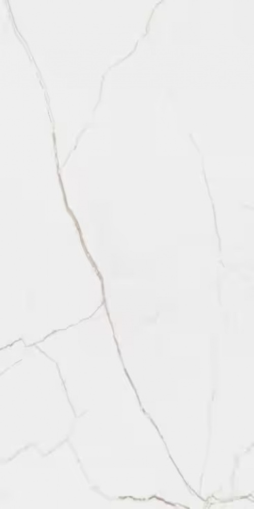  СП206 Иджен Силк Про