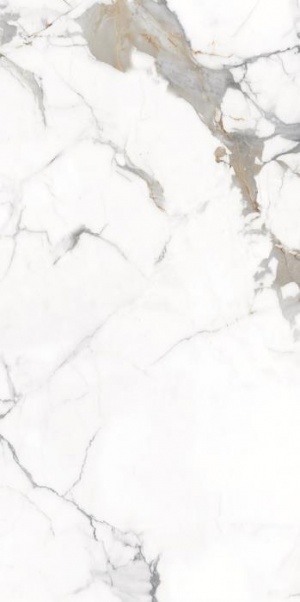  CR207 Maverick White carving