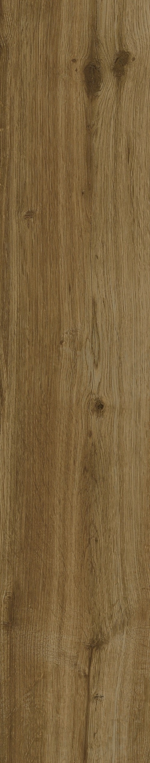  WD104 Taiga Wenge