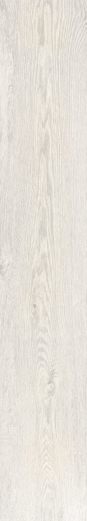 WD103 Wild Wood