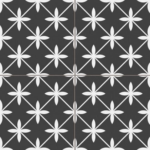  Star Black Pre.