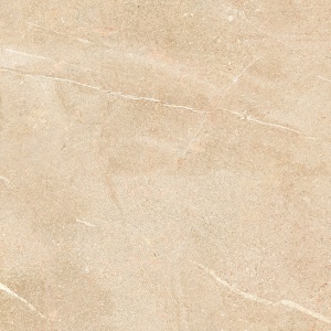  735131 Desert