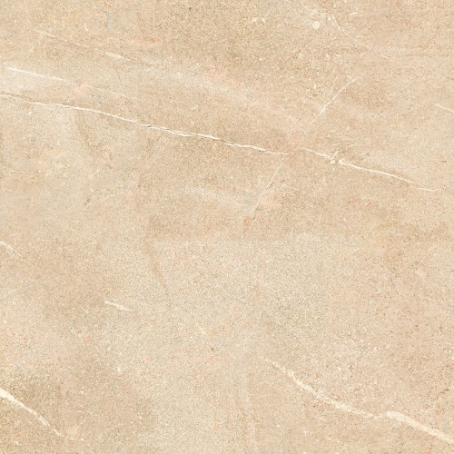  735131 Desert