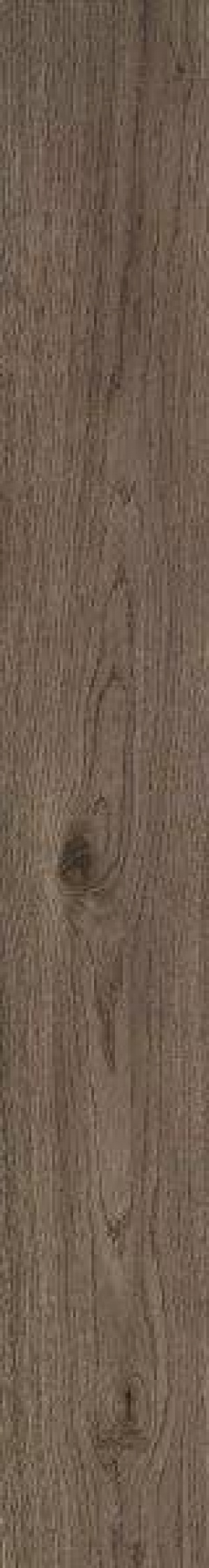  MN97 Vivo Castano Rett