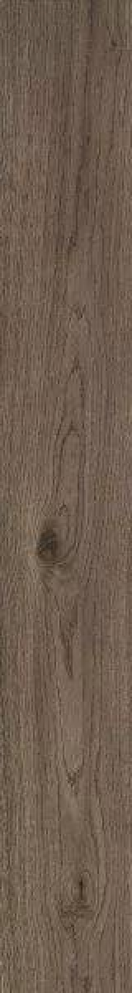  MN97 Vivo Castano Rett