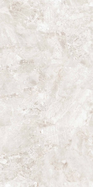  Maxilla White Carving
