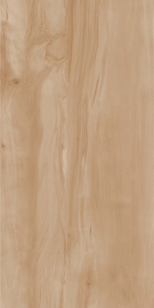  Paint Wood Bone Matt