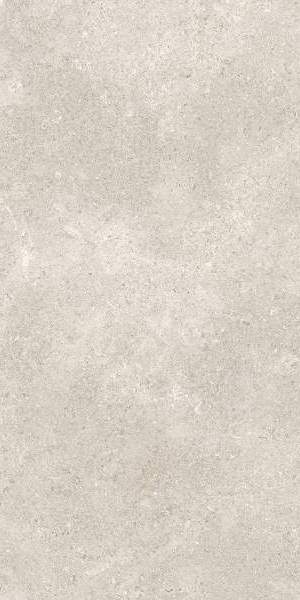  RB91 Coquille Champagne Matt-Pro Rett