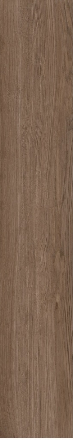  RJ98 Eik Choco Matt