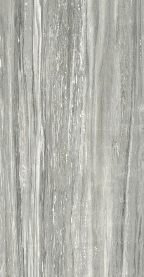  755847 Prexious Rex Pearl Attraction Glossy