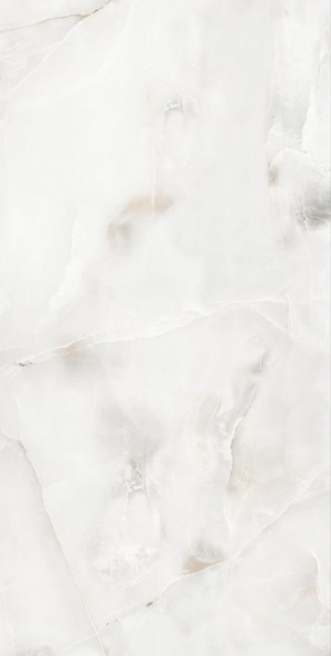  Onyx Silver