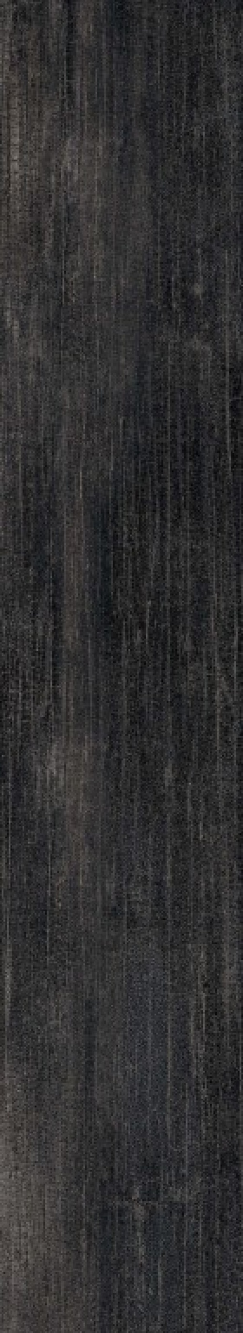 0502076 The Wild Spirit Wood Noir Rt