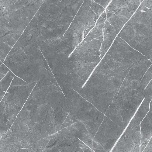  R_PR1019 Carnico Grey Polished