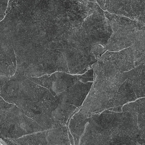  R_PR1022 Tunisia Grey Polished