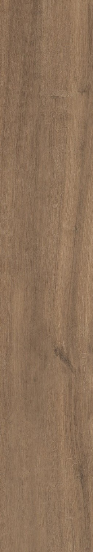  Nara Wallnut