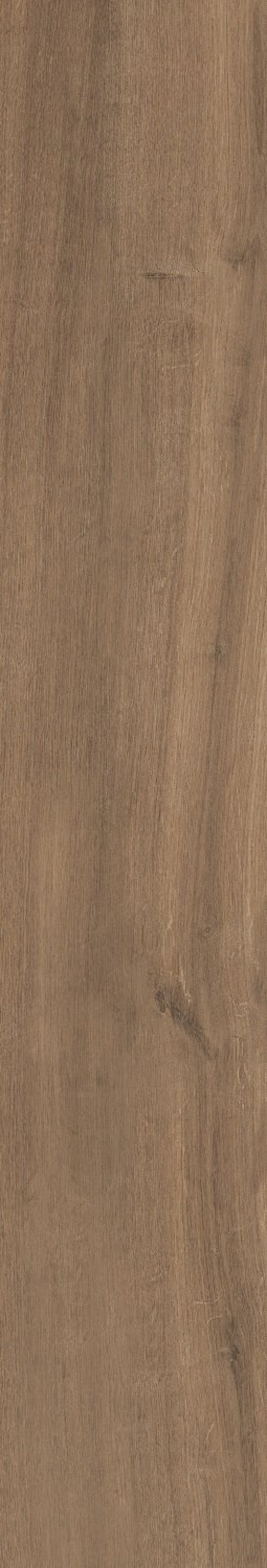  Nara Wallnut