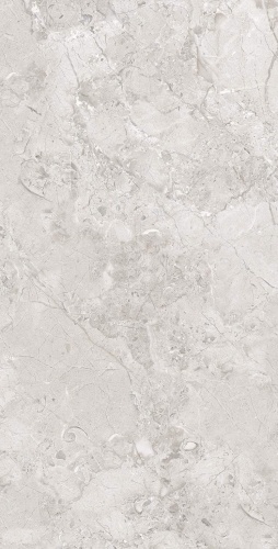 Seratonia SS Elegance Grey