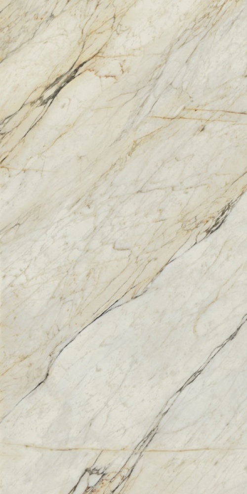  Calacata Dorato Silk