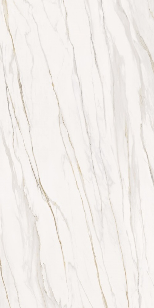  Fiorentino Silk Ret
