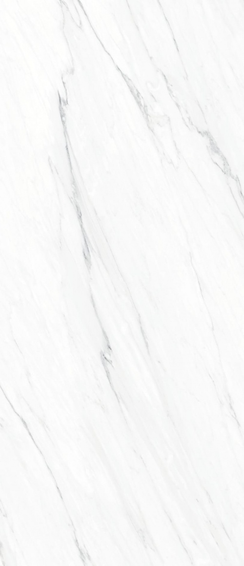  MPL-060736 Catta Snow