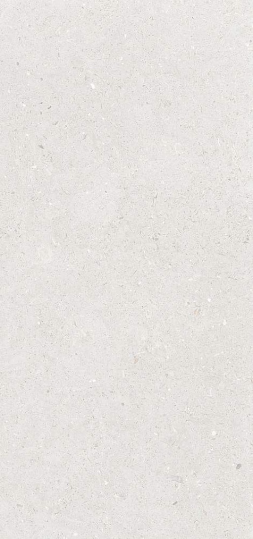  Stx Fossil Silver 3pc