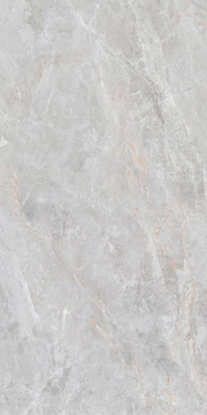  MPL-060740 Grey Amazon