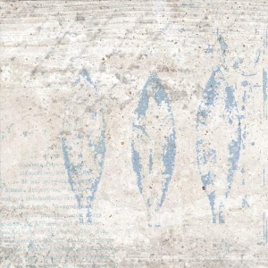  MPL-061905 Scs Sense Ash