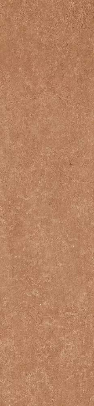  MPL-061917 Scs Spectra Tango