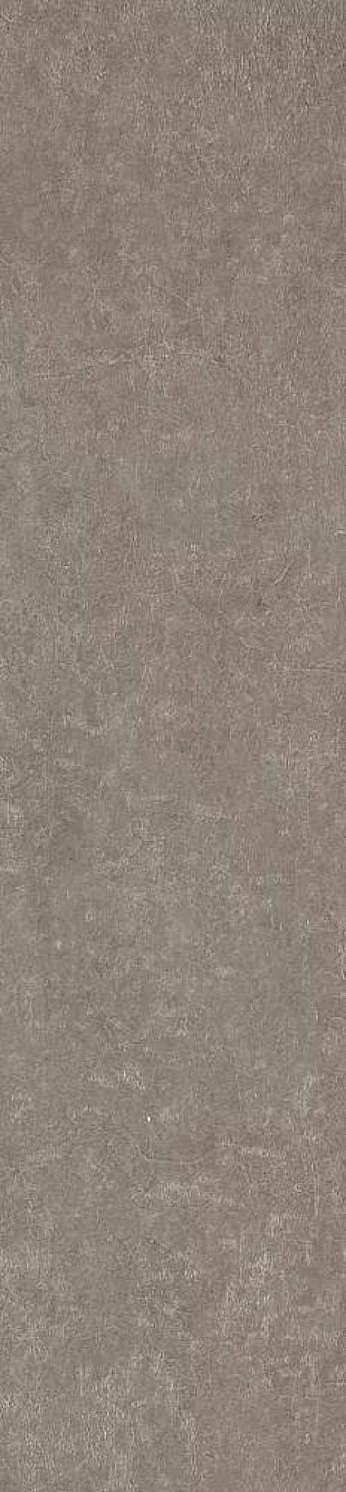  MPL-061914 Scs Spectra Mushroom