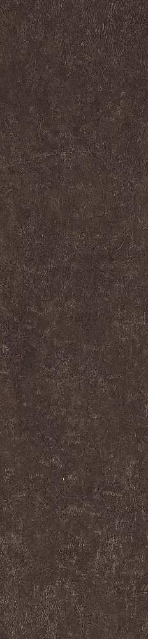  MPL-061910 Scs Spectra Pepper