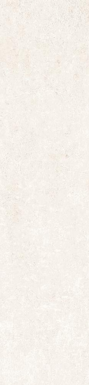  MPL-061908 Scs Spectra Salt