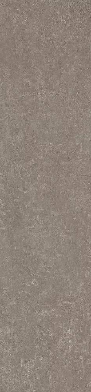  MPL-062305 Scs Spectra Moshroom Glossy
