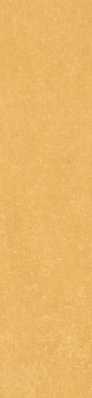  MPL-062303 Scs Spectra Mustard Glossy
