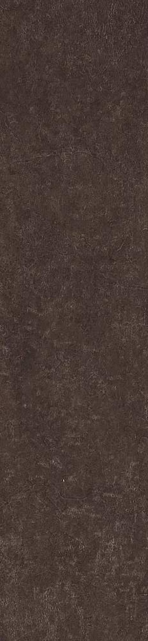  MPL-062301 Scs Spectra Pepper Glossy