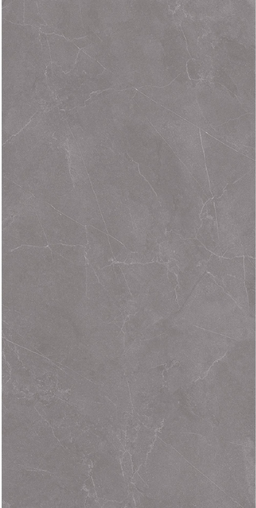  Valencia Grey Matt