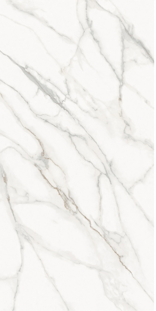  Calacatta Supreme Honed