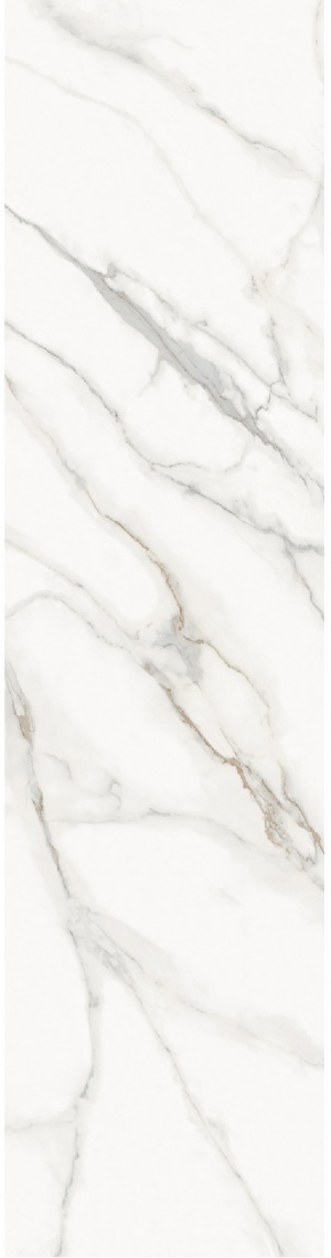 Calacatta Supreme Honed