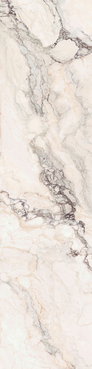  Statuario Rosso Texture