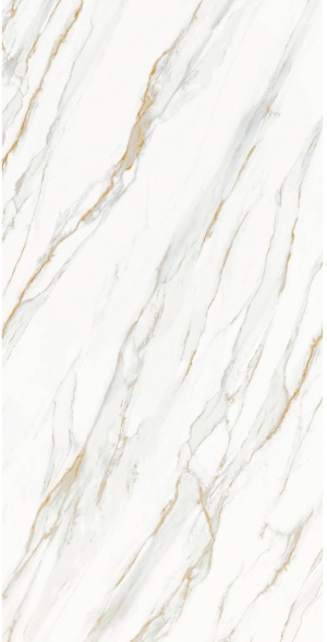  Calacata Gold Honed