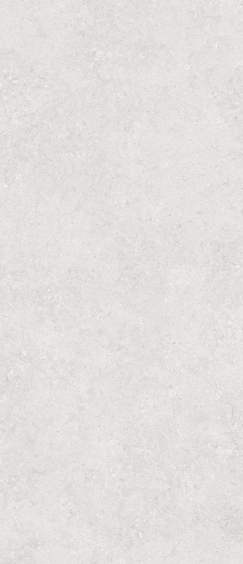 Onega Silver Xylotech Matt