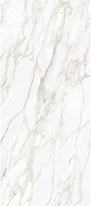  Carrara Bianco Elegance