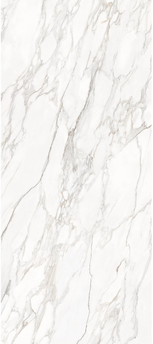  Carrara Bianco Elegance