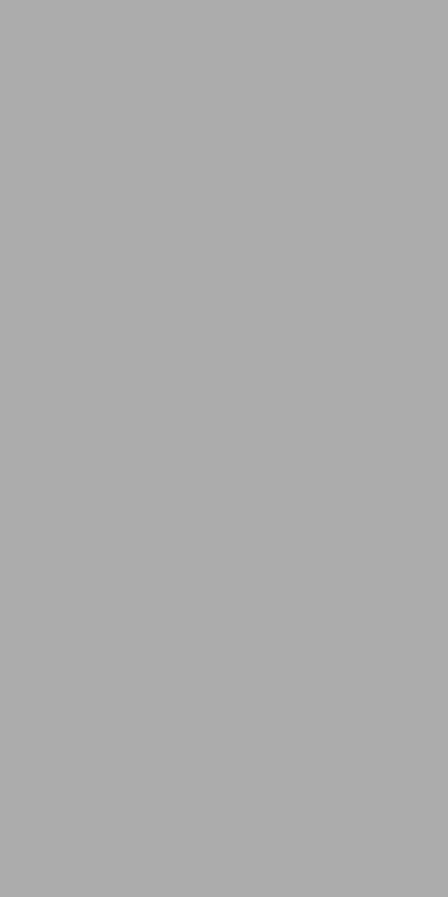 Elite Grey Matt