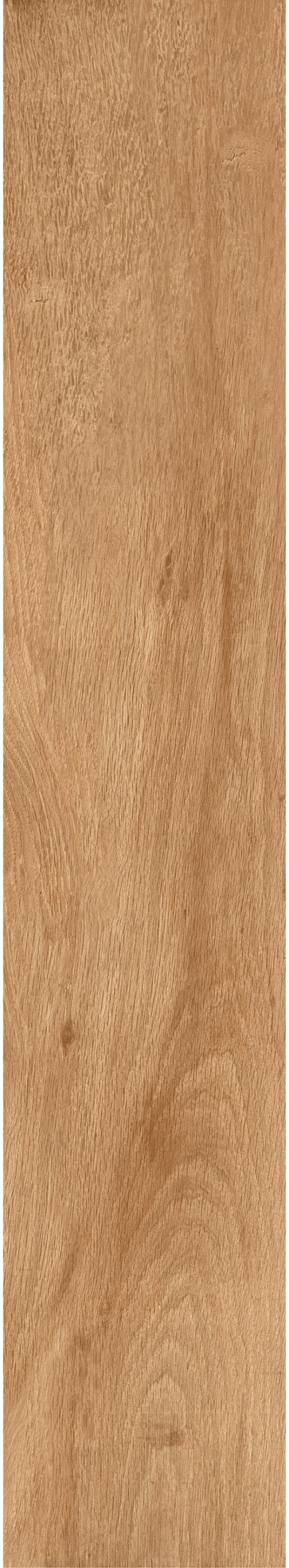  Forest Toffee Matt